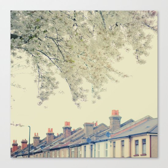 Spring 03 Canvas Print