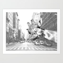 Black and White Selfie Giraffe in NYC Art Print
