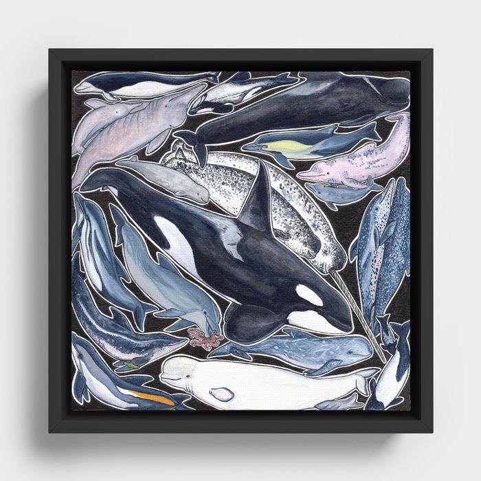 Dolphin, orca, beluga, narwhal & cie Framed Canvas