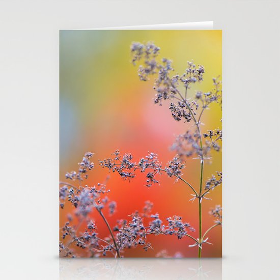 Flowers in autumn Stationery Cards