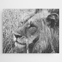 South Africa Photography - Lion In Black And White Jigsaw Puzzle