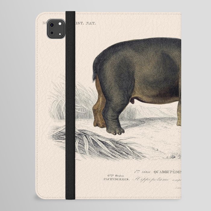 Vintage Hippopotamus iPad Folio Case