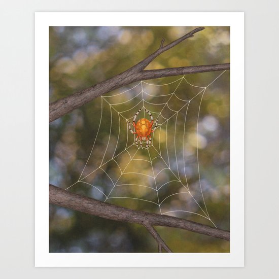 marbled orb weaver on a web Art Print