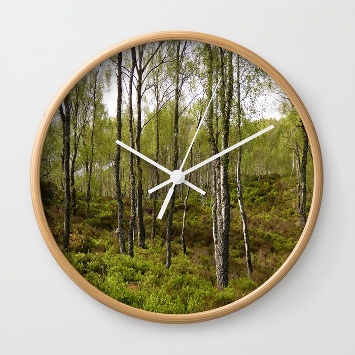 Song of the Scottish Highlands Birch Trees Wall Clock