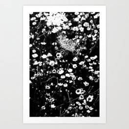 Black and White Wild Flowers Pastel Sketch Effect Nature Art Print | Asterflowers, Pastelsketcheffect, Highcontrastfloral, Blackandwhite, Neutralcolours, Graphicdesign, Photomanip, Wildflowers, Digital, Monochromeflowers 
