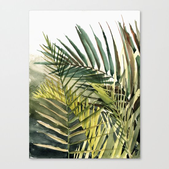 Arecaceae - household jungle #2 Canvas Print