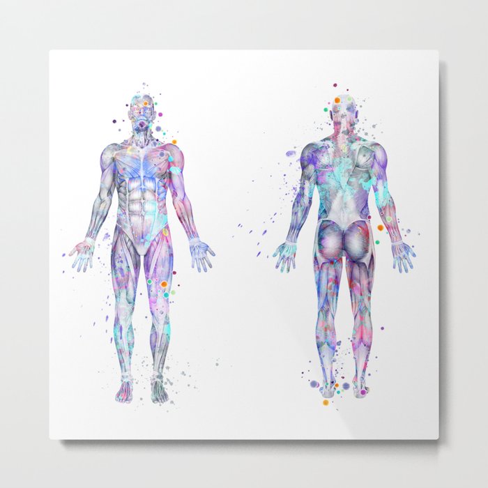 Human Body With All Muscles Art Gift Colorful Blue Purple Watercolor Gift Anatomy Art Medical Art Metal Print