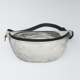 Sleeping Seagull Fanny Pack