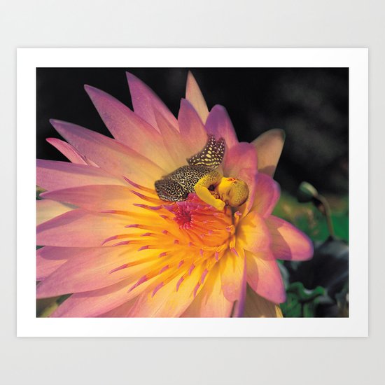 The Frog's Child Art Print