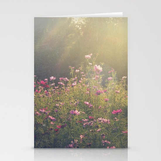 Cosmos in the Late Day Sun Stationery Cards