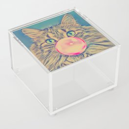 Cat Bubble Acrylic Box