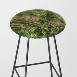 Brazil Photography - Tall Tropical Trees In The Rain Forest Bar Stool