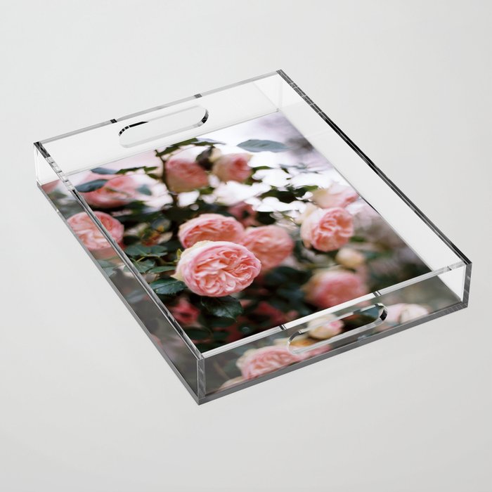 French Pink Garden Roses Acrylic Tray