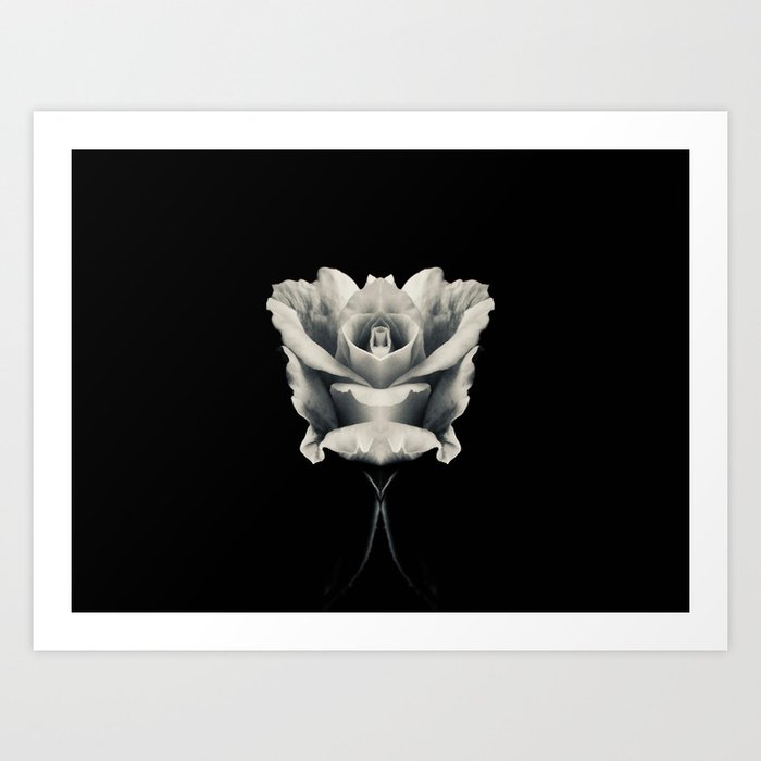 Beauty Rose 03 symmetry, collection, black and white, bw, set Art Print