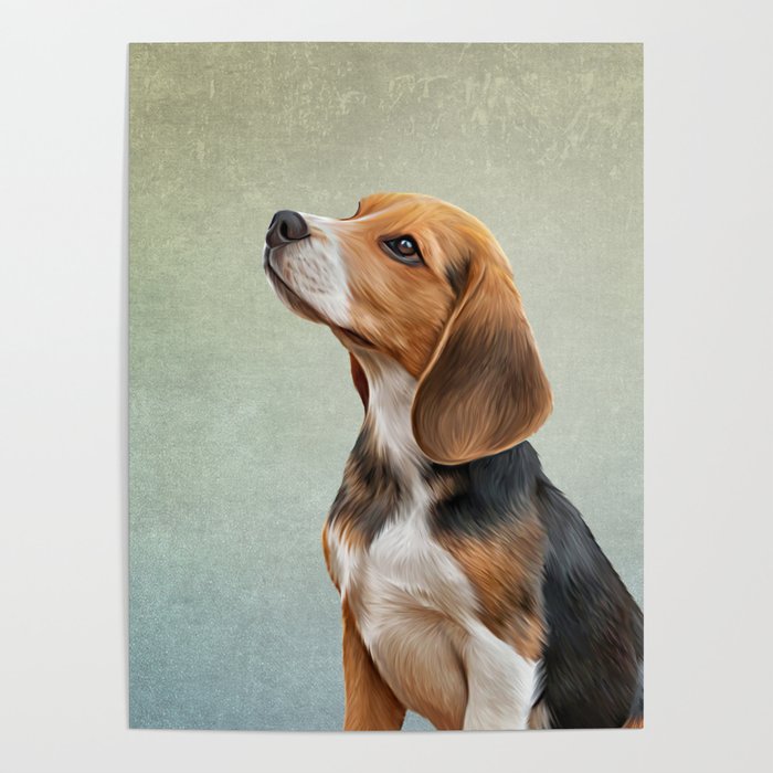 Drawing puppy Beagle Poster