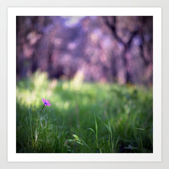 Pink Flower Art Print