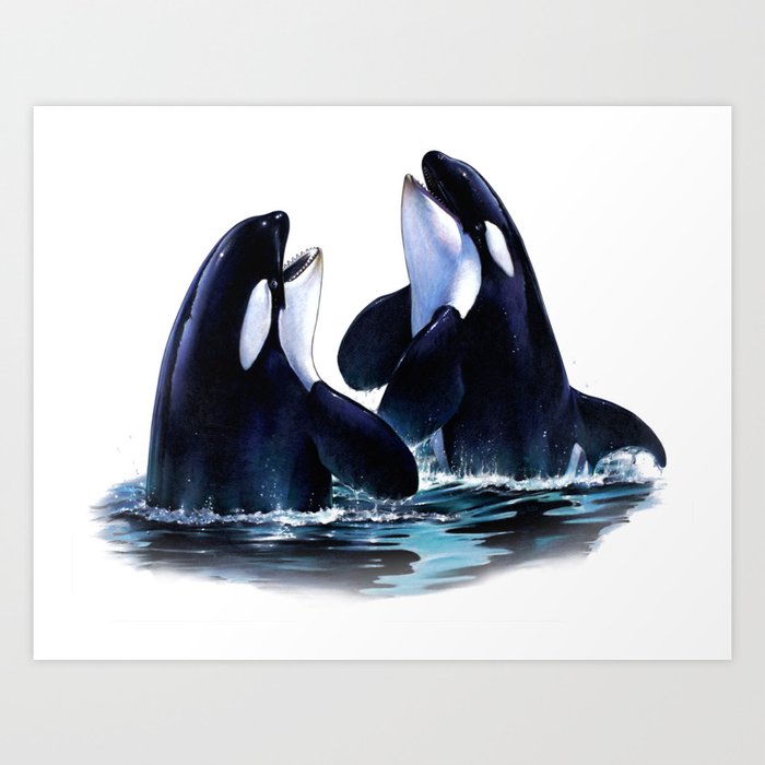 Orca Duo Art Print