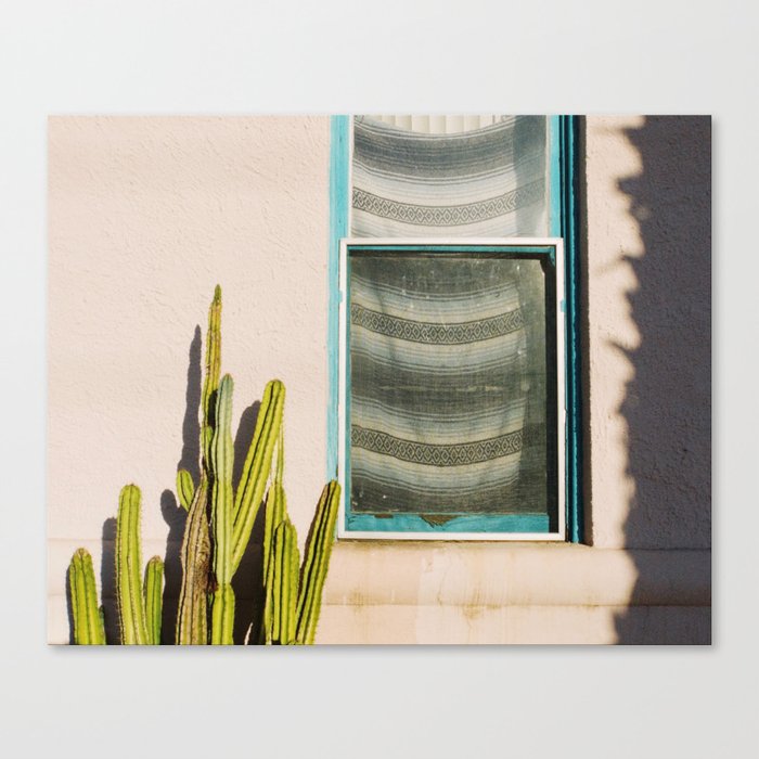 Cactus and Window Canvas Print