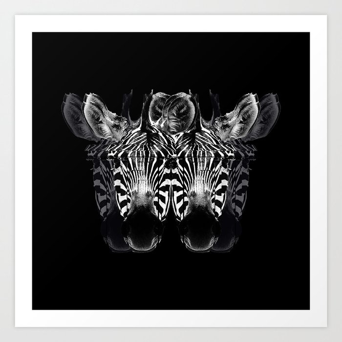 Zebra Butterfly Art Print