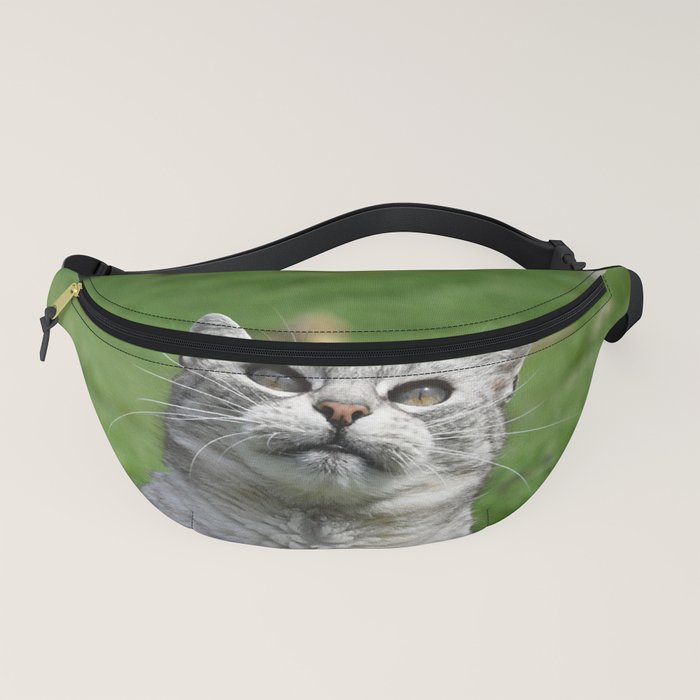 Cat 2025 fanny packs