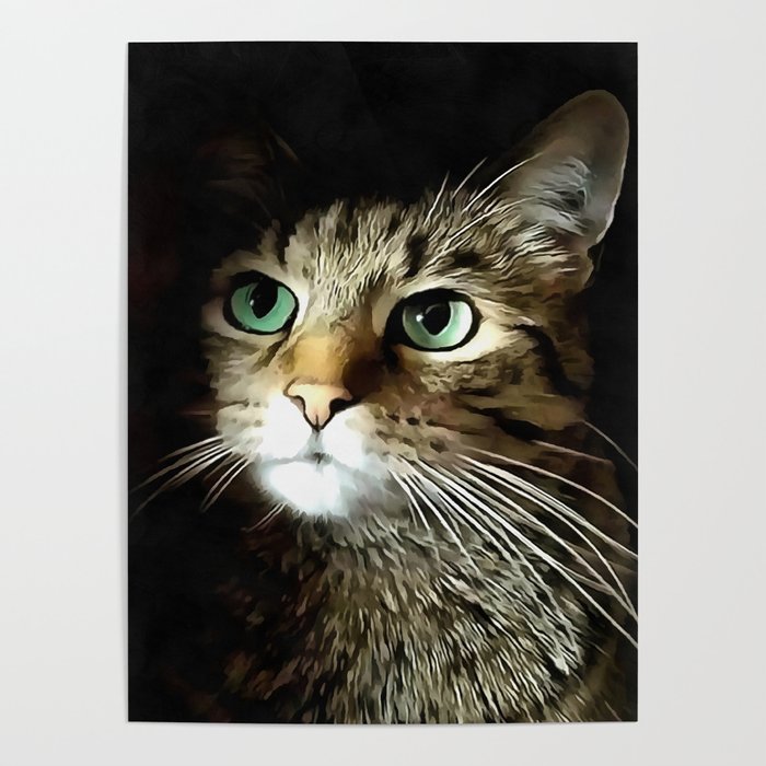 Tabby Cat With Green Eyes Isolated On Black Poster