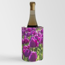 Purple Dutch tulips art print - tulip flower field - spring nature and travel photography Wine Chiller