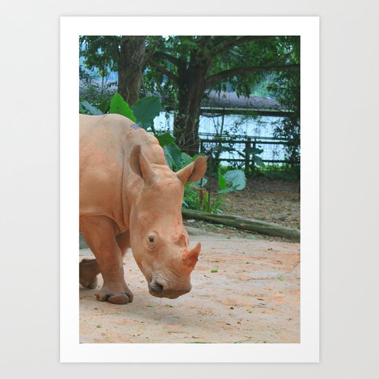sandy rhino Art Print
