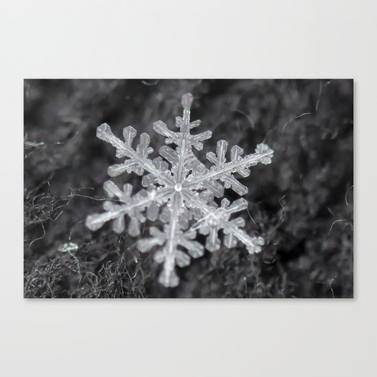 Snowflake Closeup #1 Canvas Print