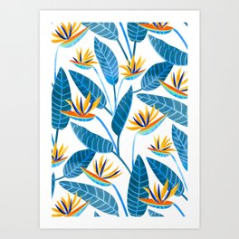 Strelitzia Flowers - Blue Art Print