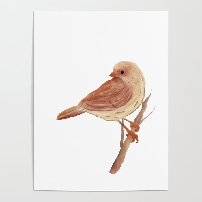 light brown colored bird, digital painting Poster