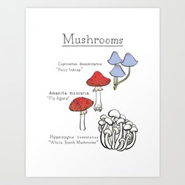 Mushrooms Art Print