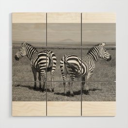 Zebra Safari Wood Wall Art