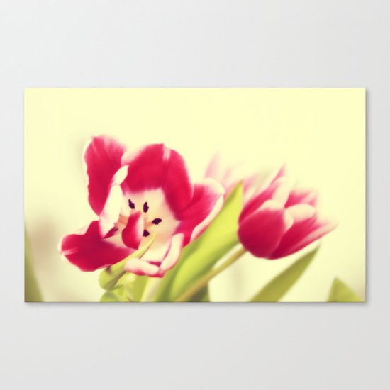 Spring - JUSTART © Canvas Print