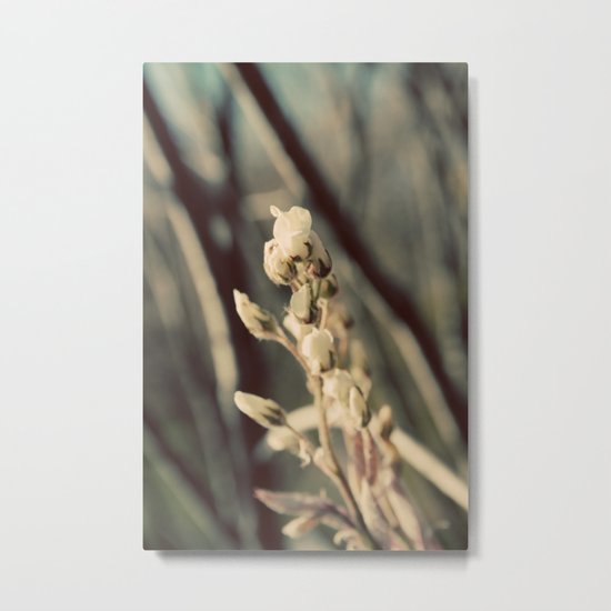 First Bloom Metal Print