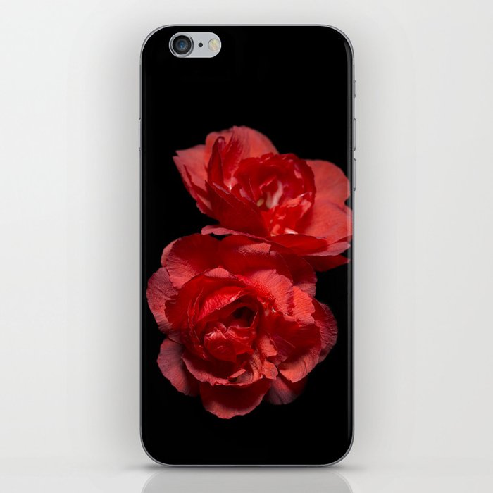 Blood Red Camelia iPhone Skin