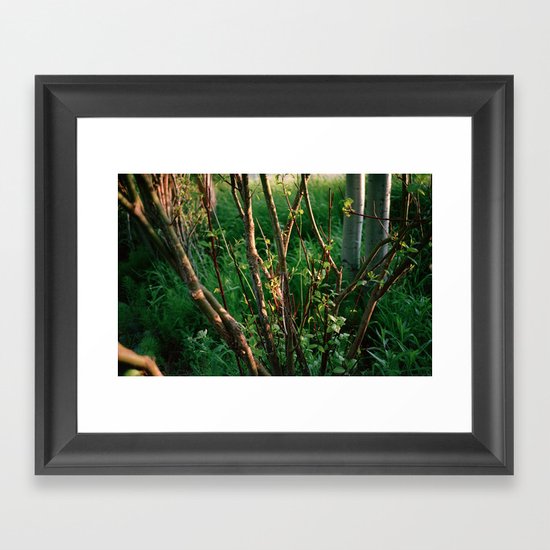 Northeast Oregon Framed Art Print