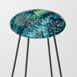 Coral Reef 4 Counter Stool