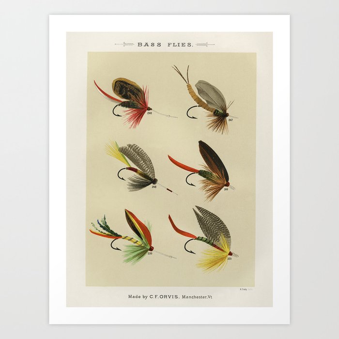 Bass Fly Fishing Lure Art Print by SFT Design Studio