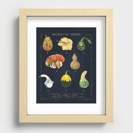 Decorative Gourds Chart Recessed Framed Print
