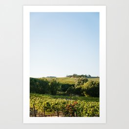 Wine Country Art Print