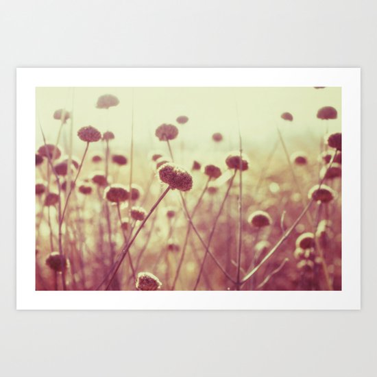 field of light II Art Print