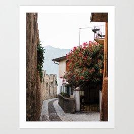 Street in Malcesine with a red flower tree | Italy Travel Photography | Lake Garda photo Art Print