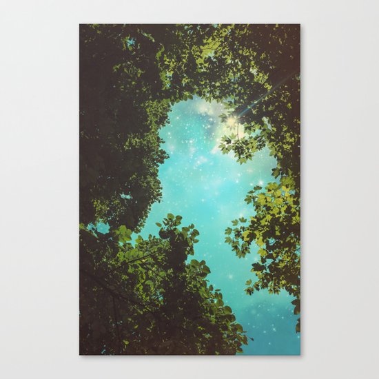 Starry Sky Canvas Print