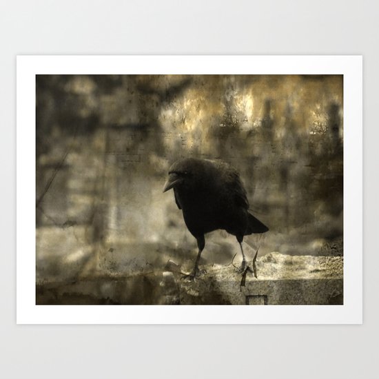 Angry Bird Art Print