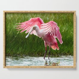 Roseate Spoonbill Serving Tray