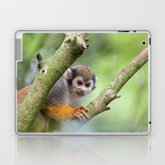 Squirrel monkey Laptop & iPad Skin