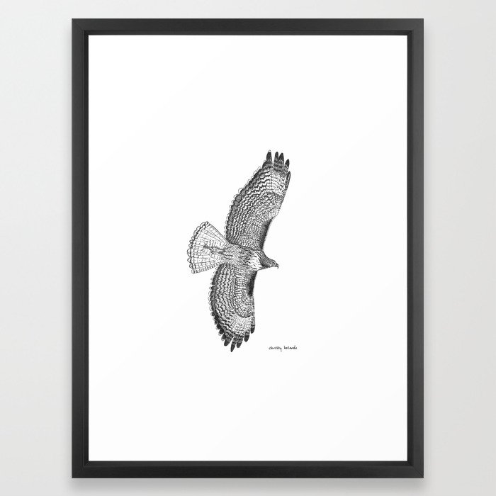Download Red Tailed Hawk Framed Art Print by thesweetbel | Society6