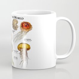 Jellyfish of the World Coffee Mug | Wildlifeart, Boxjellyfish, Cnidaria, Seanettle, Drawing, Oceananimals, Moonjellyfish, Jellies, Marineanimals, Jellyfishart 