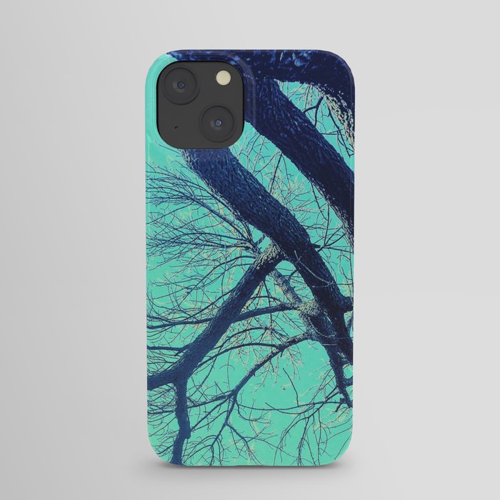 Meandering iPhone Case