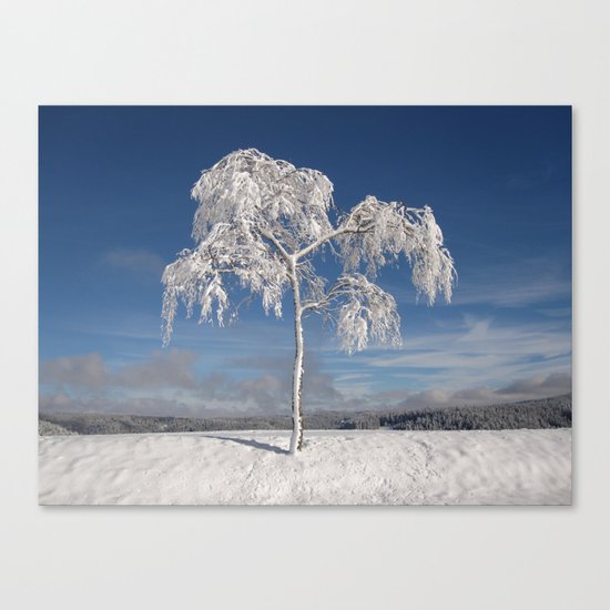 winter Canvas Print